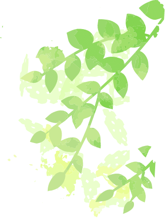 装飾